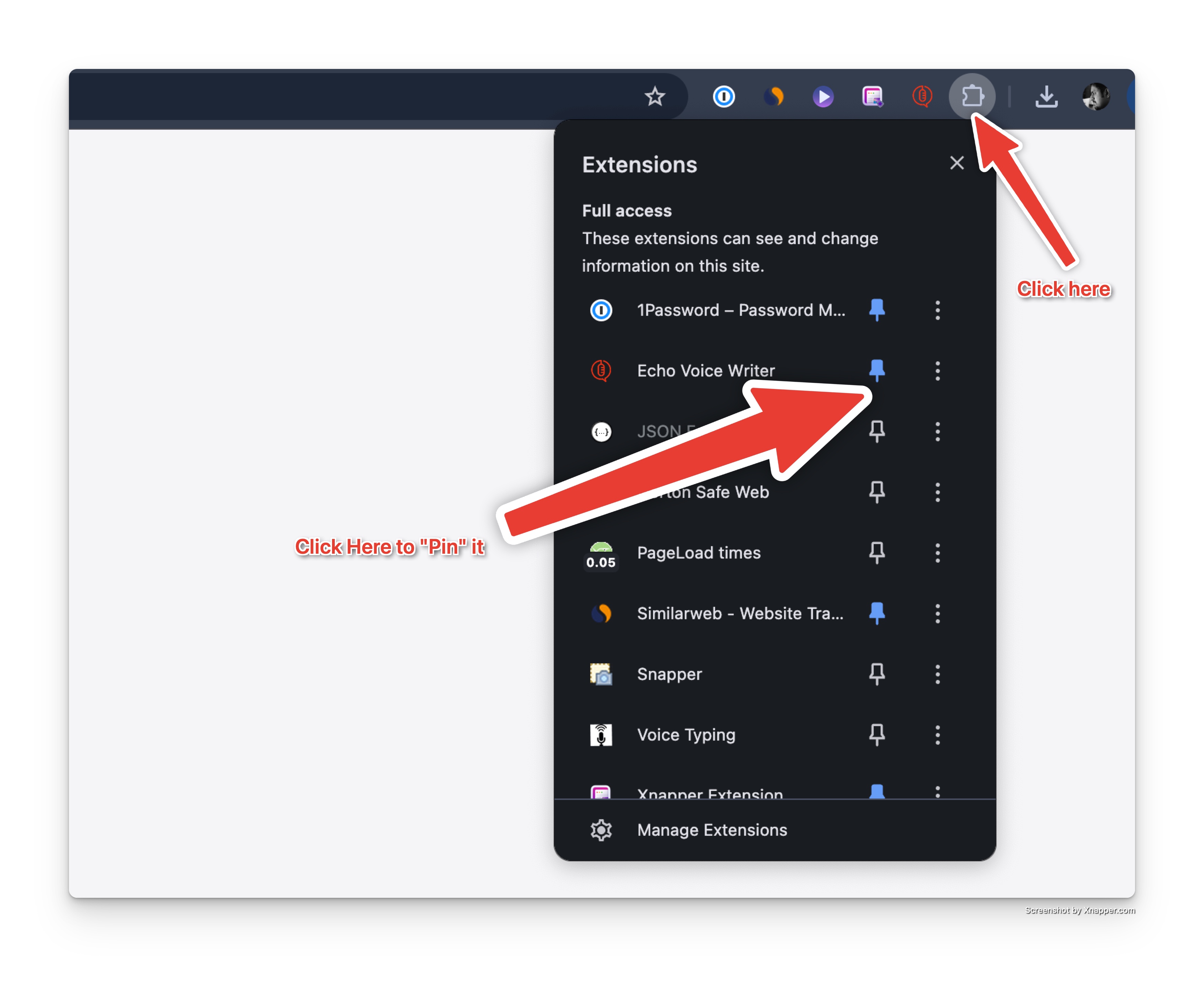 Pin Extension Button Screenshot